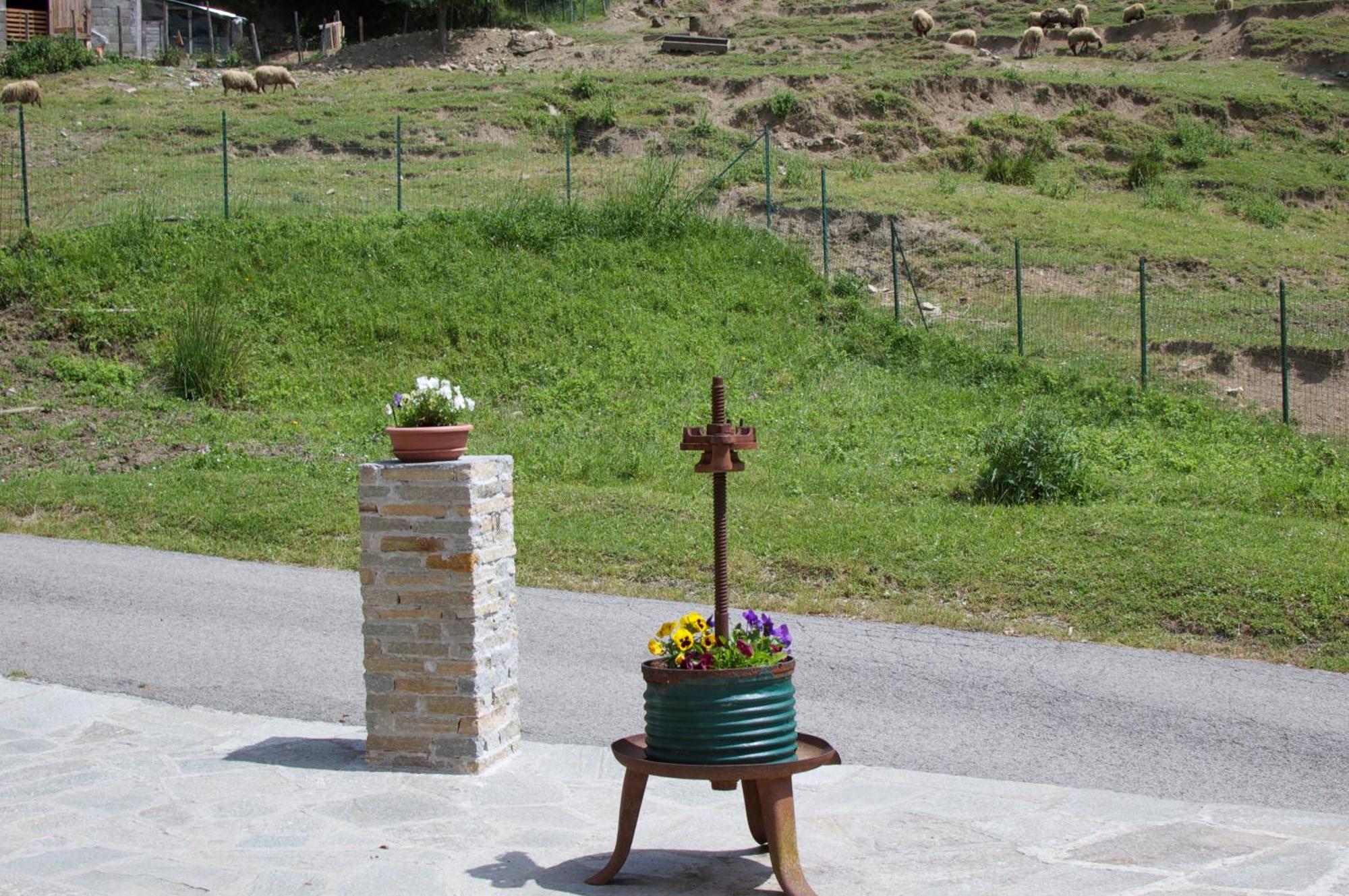 Affittacamere Graziella Vernazza Eksteriør billede